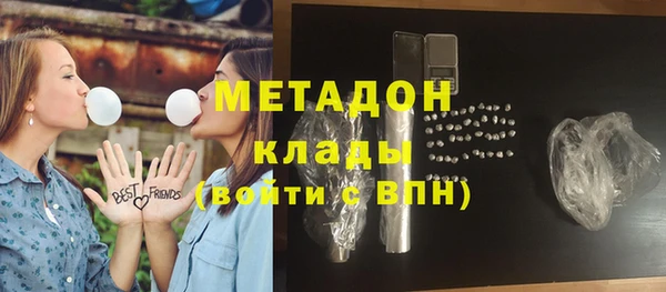 сатива Няндома