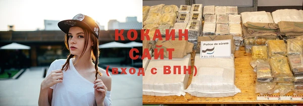 сатива Няндома