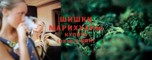 сатива Няндома