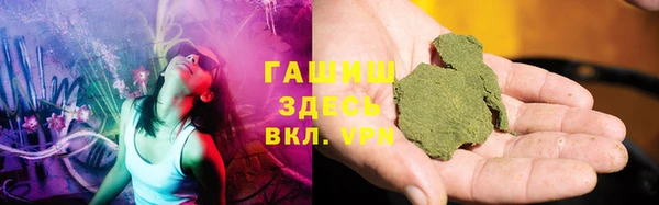 PSILOCYBIN Вяземский