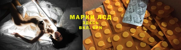 стафф Гвардейск