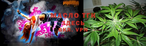 сатива Няндома